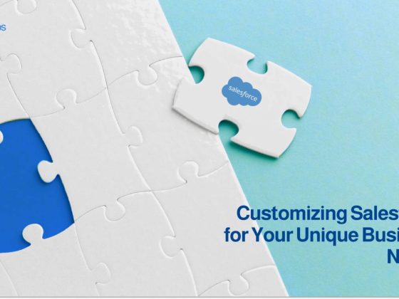 Customizing Salesforce