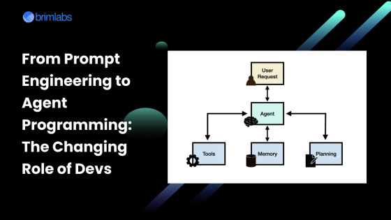 From Prompt Engineering to Agent Programming: The Changing Role of Devs