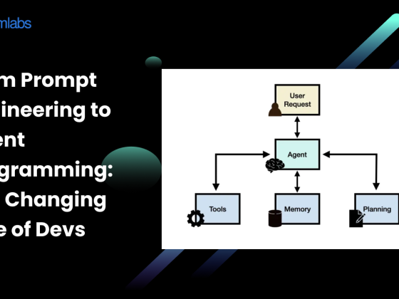 From Prompt Engineering to Agent Programming: The Changing Role of Devs