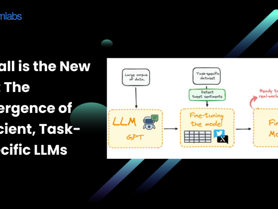 Small is the New Big: The Emergence of Efficient, Task-Specific LLMs