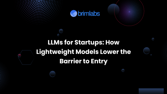 LLMs for Startups: How Lightweight Models Lower the Barrier to Entry