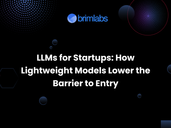 LLMs for Startups: How Lightweight Models Lower the Barrier to Entry