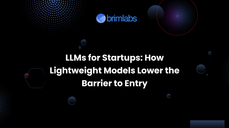 LLMs for Startups: How Lightweight Models Lower the Barrier to Entry
