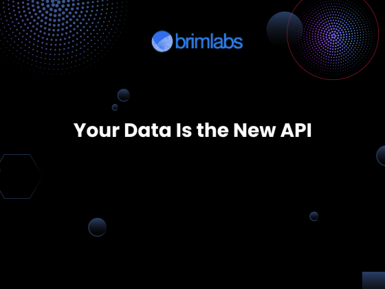 Your Data Is the New API