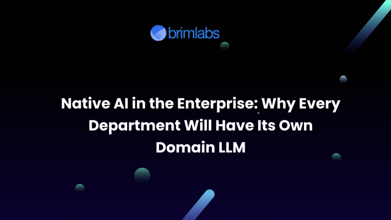 Native AI in the Enterprise: Why Every Department Will Have Its Own Domain LLM