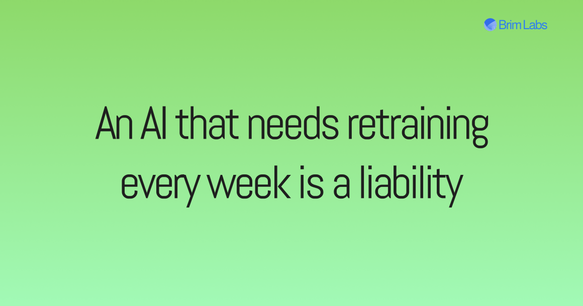 An AI that needs retraining every week is a liability