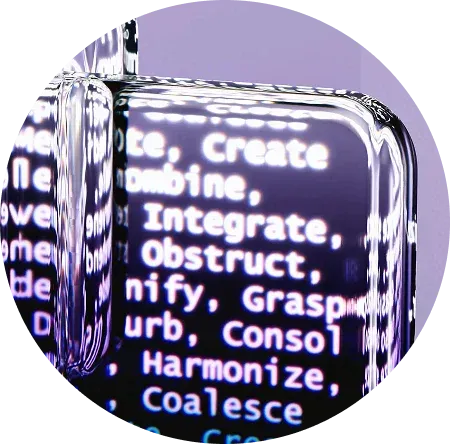Case Studies